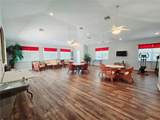 321 Reclinata Circle - Photo 33