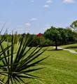 6505 Stone River Road - Photo 45