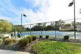 7687 Sweetbay Circle - Photo 39