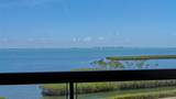 2020 Harbourside Drive - Photo 43