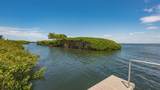 2020 Harbourside Drive - Photo 56