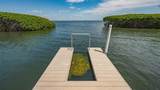 2020 Harbourside Drive - Photo 58