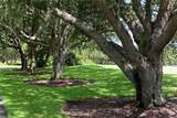 340 Osprey Point Dr - Photo 68