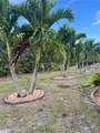 7508 Mikasa Drive - Photo 44