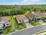 412 Daylily Boulevard - Photo 46