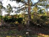  Schoen Street - Photo 1