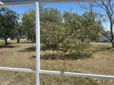 6882 Holo Court - Photo 38