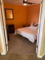 5517 Palmer Circle - Photo 49