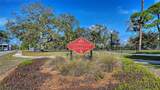 430 Kumquat Court - Photo 63