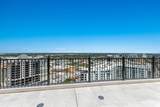 33 Palm Avenue - Photo 49