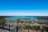 33 Palm Avenue - Photo 59