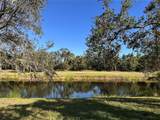 6251 Wingspan Way - Photo 21