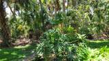 5050 Hanging Moss Lane - Photo 30