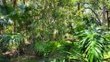 5050 Hanging Moss Lane - Photo 31