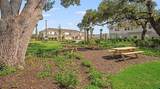 5893 Biscotti Street - Photo 34