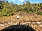  Vineyard Circle - Photo 1