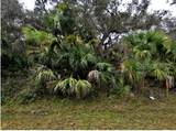  Babroff Terrace - Photo 1
