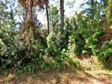  Solana Street - Photo 4