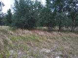 9236 Tolbert Stephens Road - Photo 2