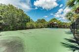 12229 Stuart Drive - Photo 63