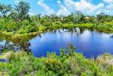 6125 Anise Drive - Photo 47