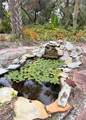 5353 Shadow Lawn Drive - Photo 46