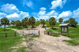 8437 Nandina Drive - Photo 51