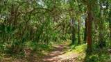 3317 Highlands Bridge Road - Photo 34