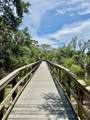 5620 Whitehead Street - Photo 34