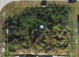 13149 Amaryllis Circle - Photo 3