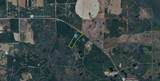 5301 Co Rd 336 - Photo 2