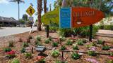 5302 Las Rosas - Photo 11
