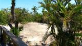 7233 Midnight Pass Road - Photo 12
