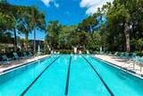 427 Palm Tree Drive - Photo 38