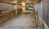 7860 Cow Camp Lane - Photo 12
