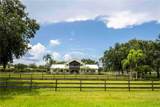 7860 Cow Camp Lane - Photo 5