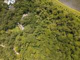  Quarter Horse Road - Photo 10