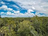  Quarter Horse Road - Photo 5