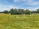 12950 River Road - Photo 10
