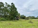  Blackwood Circle - Photo 3