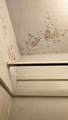 2830 Bay Shore Circle - Photo 80