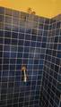 2830 Bay Shore Circle - Photo 88