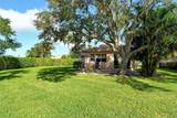 3770 Amapola Lane - Photo 40