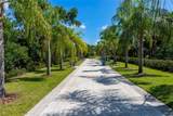 13017 Steinhatchee Loop - Photo 84