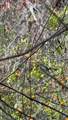 5011 249TH ST Street - Photo 4