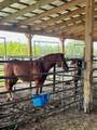 1126 & 1144 County Road 665 - Photo 84