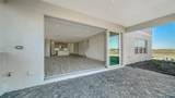 2444 Star Apple Way - Photo 11