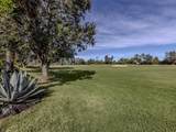262 Montelluna Drive - Photo 29