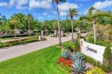 6505 Taeda Drive - Photo 50