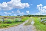 16406 Coker Gully Road - Photo 11